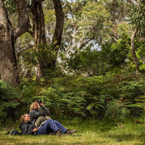 Du học Úc - Môi trường (Environment) - Deakin University